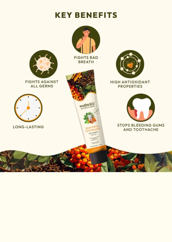 Dentowin Sea Buckthorn Herbal Toothpaste 100gm