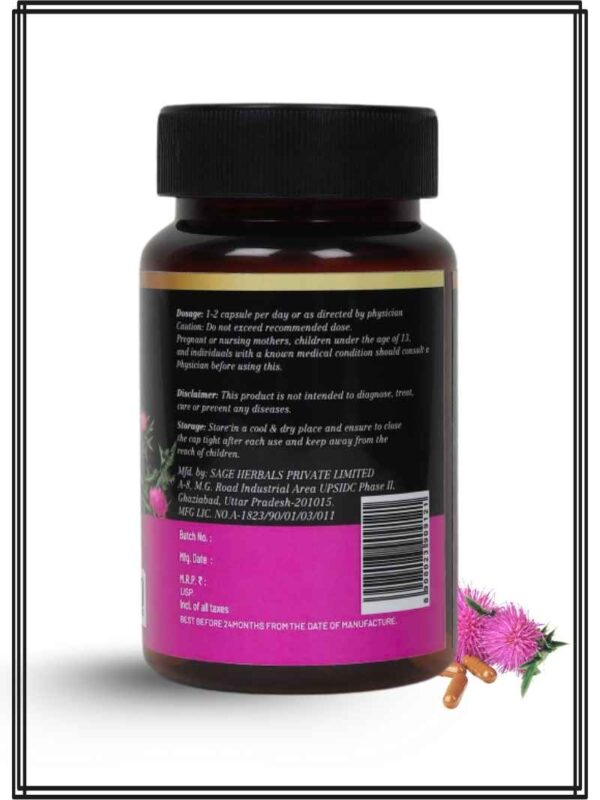 Milk Thistle