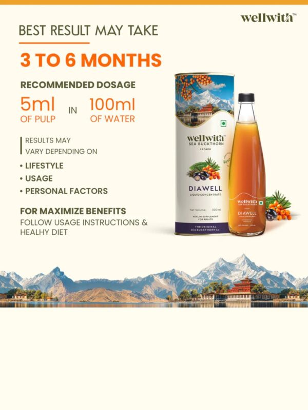 Sea Buckthorn Dia Well