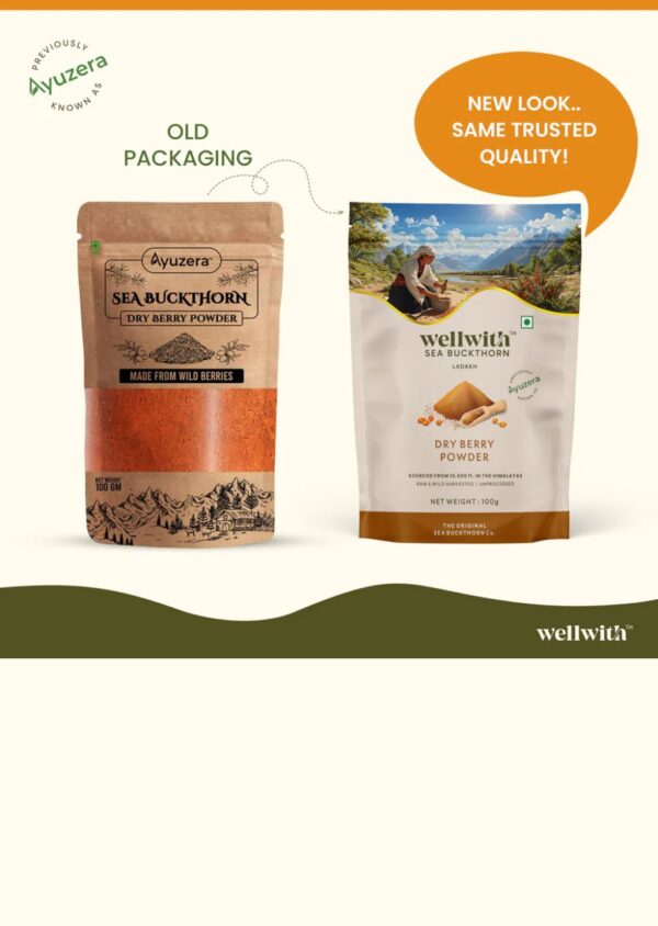 Sea Buckthorn Dry Berry Powder