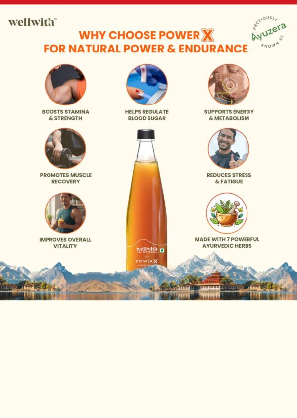 Wellwith SeaBuckthorn Power X