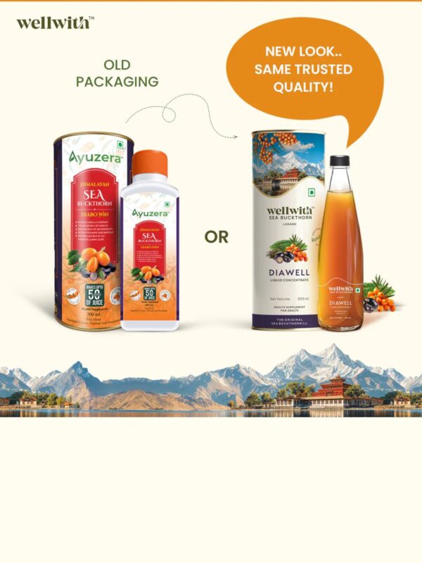 Sea Buckthorn Dia Well