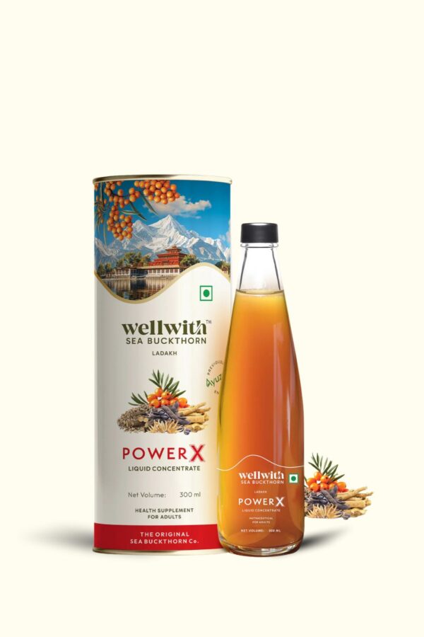 Wellwith SeaBuckthorn Power X