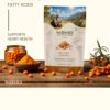 Sea Buckthorn Dry Berry Powder