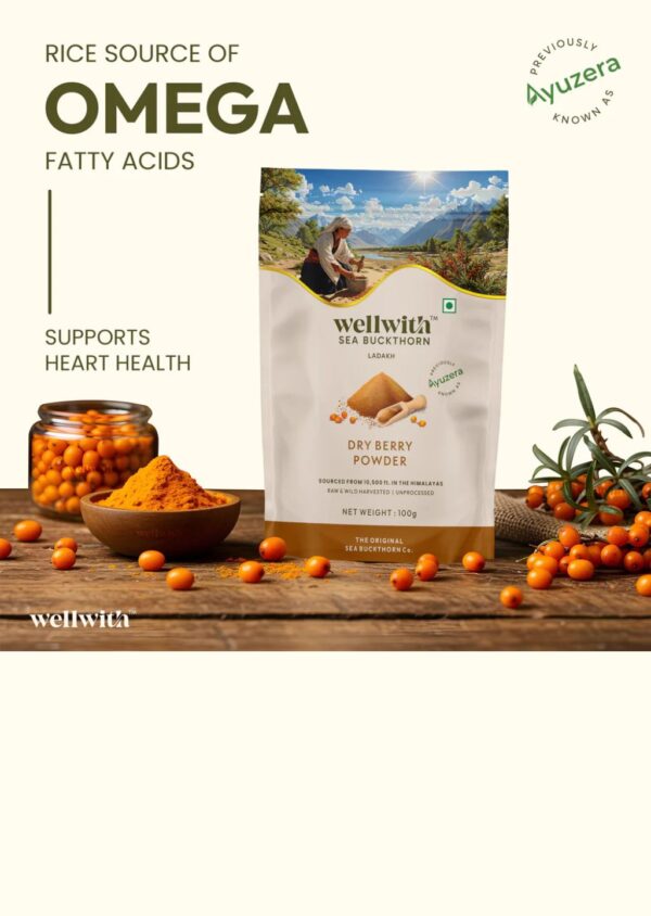 Sea Buckthorn Dry Berry Powder