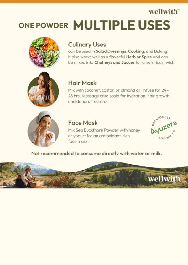 Sea Buckthorn Dry Berry Powder