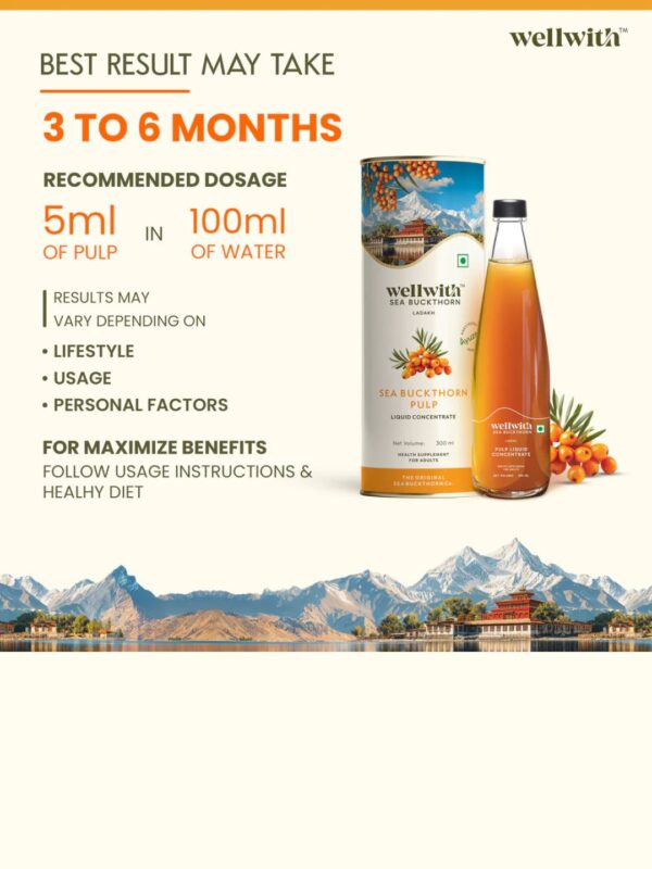 Wellwith Sea bukcthorn Pulp