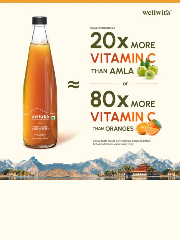 Wellwith Sea bukcthorn Pulp
