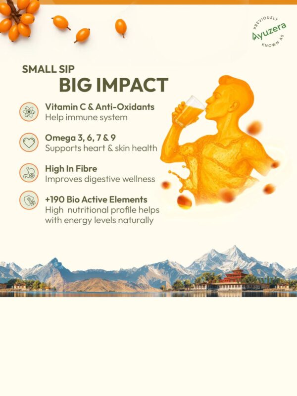 Wellwith Sea bukcthorn Pulp