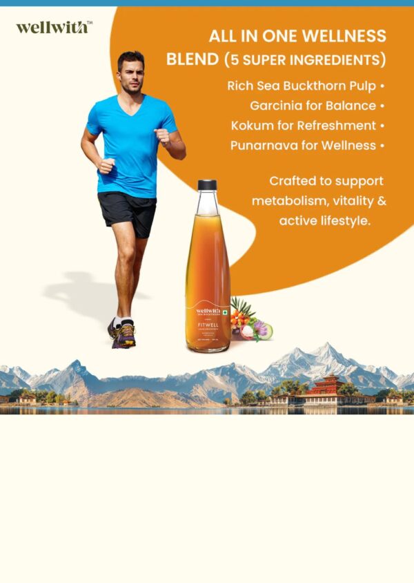 6 Sea Buckthorn Fit Well