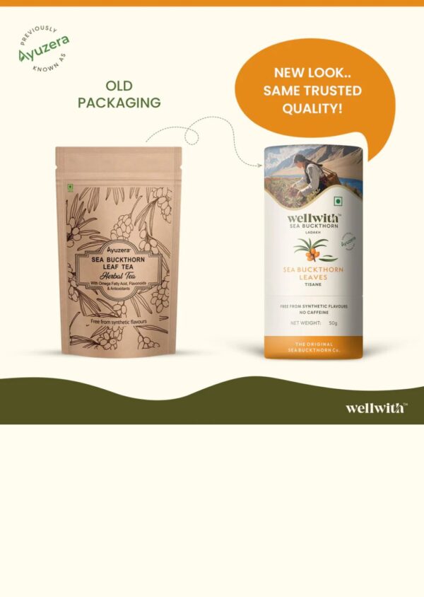 1 Seabukthorn Leaf Tea