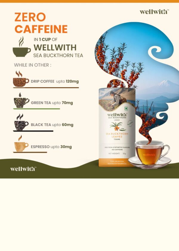 3 Seabukthorn Leaf Tea