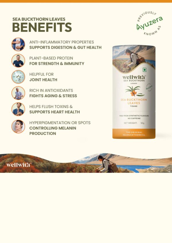 4 Seabukthorn Leaf Tea